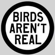 [GC21] BIRDS AREN'T REAL 's avatar