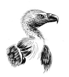 Doc Andrews Vultures's avatar