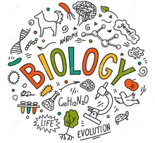 Biology 100 Spring 2021's avatar